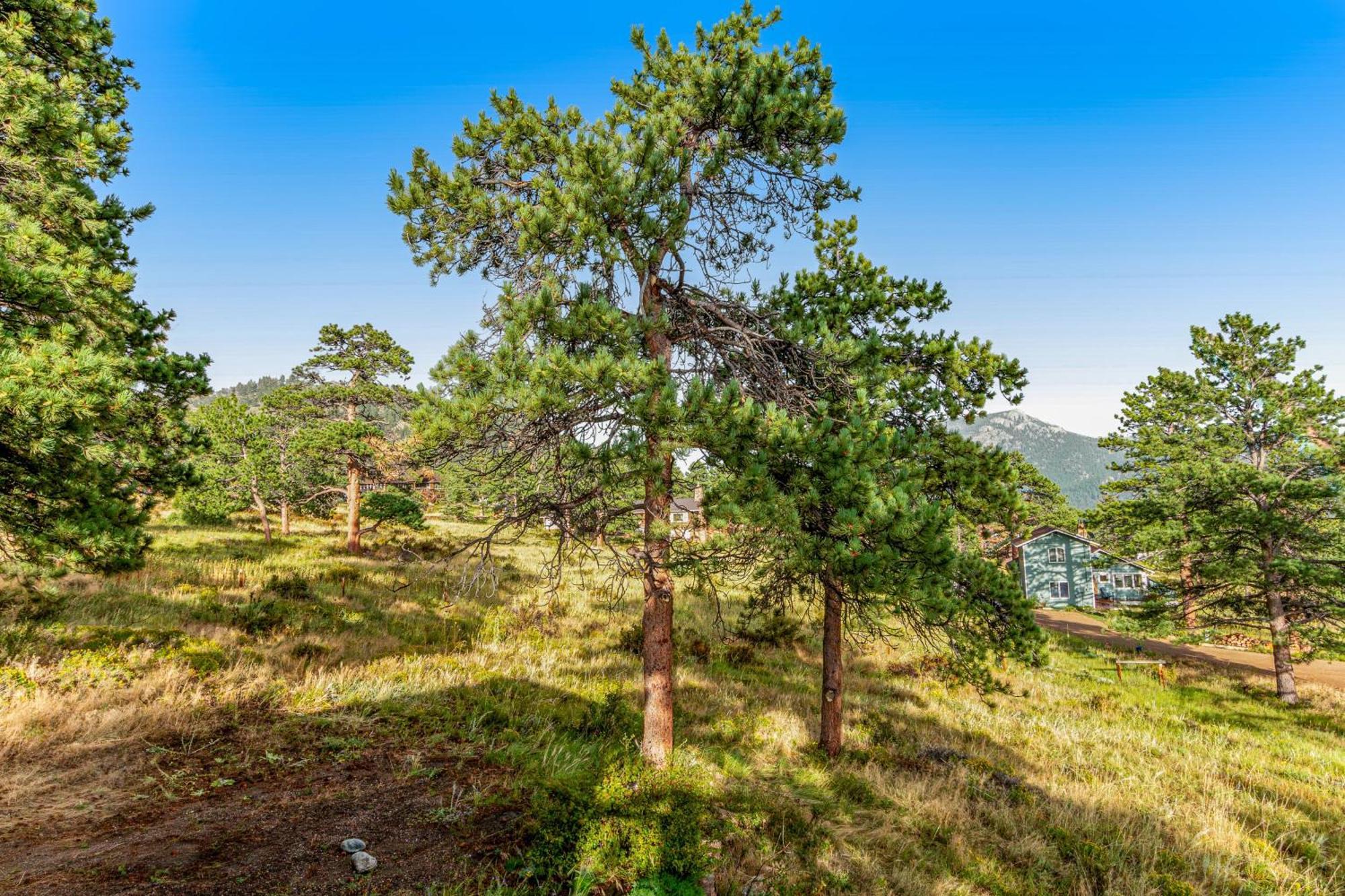 Deer Mountain Lodge South Estes Park Exterior foto